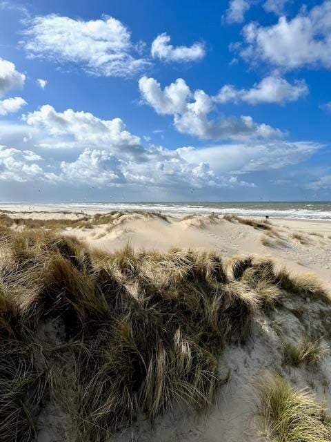 Flat Spreeuwenlaan 44, La Haye - Appartement au dernier étage