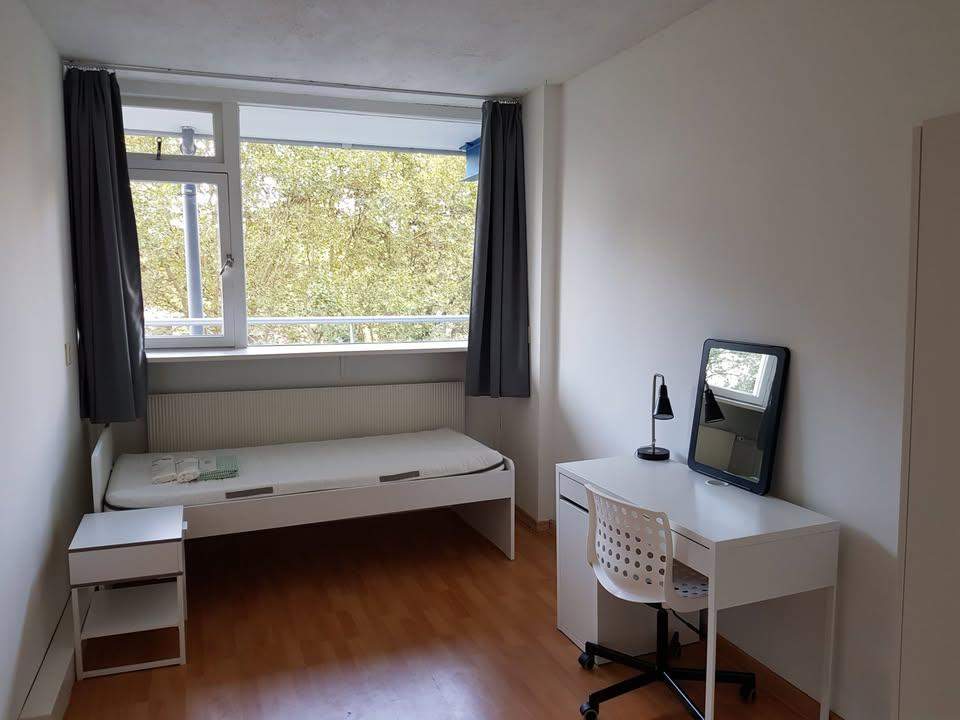 Chambre meublée Menno ter Braaklaan, Delft - À louer