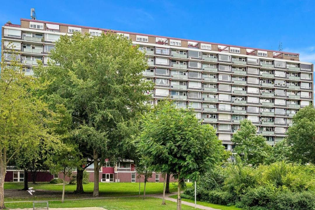 Flat Heiloostraat, Den Haag - For Rent