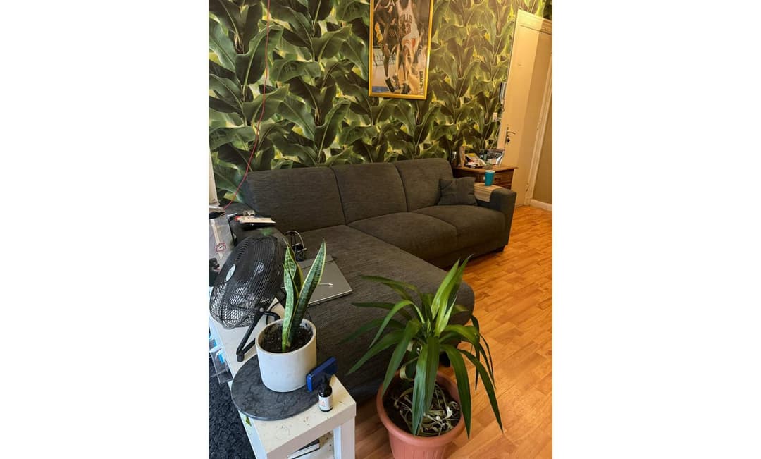 Kamer Henegouwerlaan, Rotterdam - Te Huur