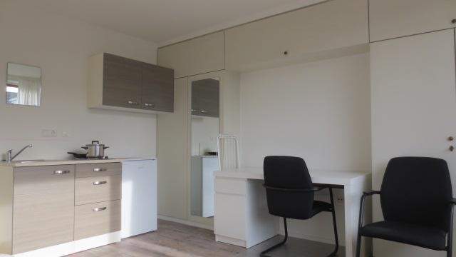 Gemeubileerde kamer aan de Ithacastraat, Eindhoven - Te Huur