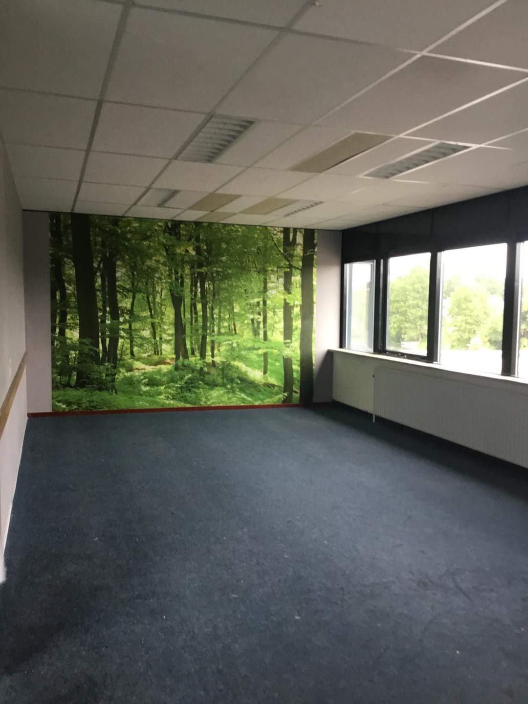 Room De Omloop, Beilen - Zur Vermietung