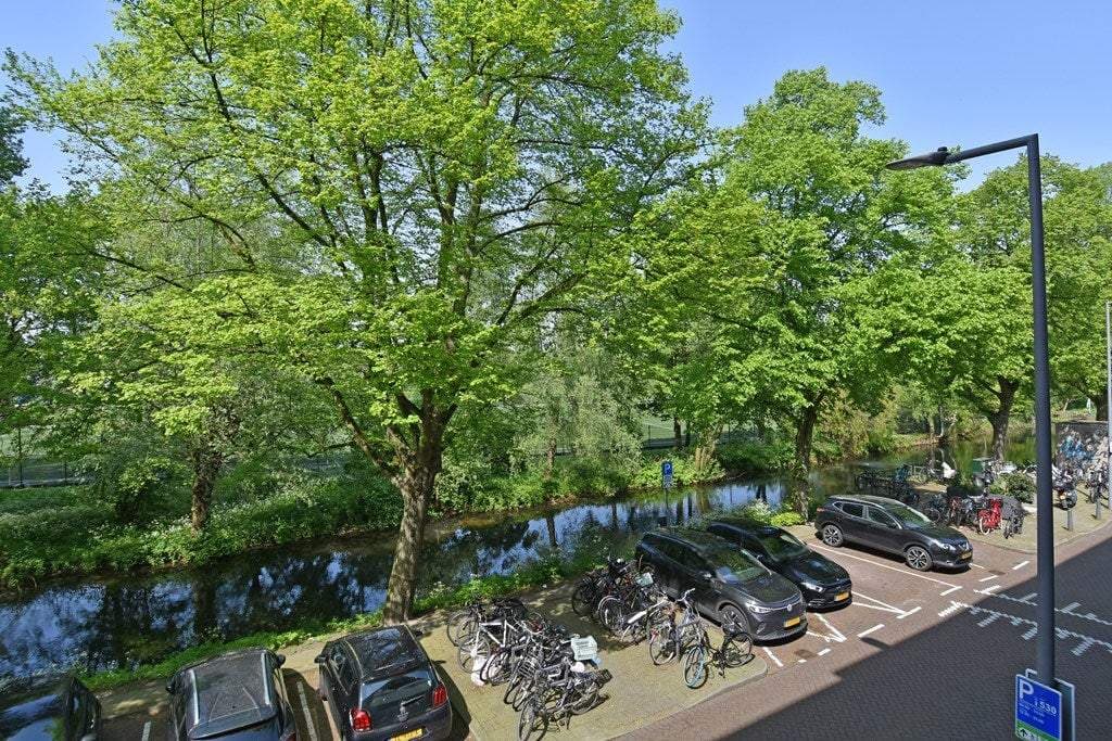 Flat Essenburgsingel, Rotterdam - For Rent