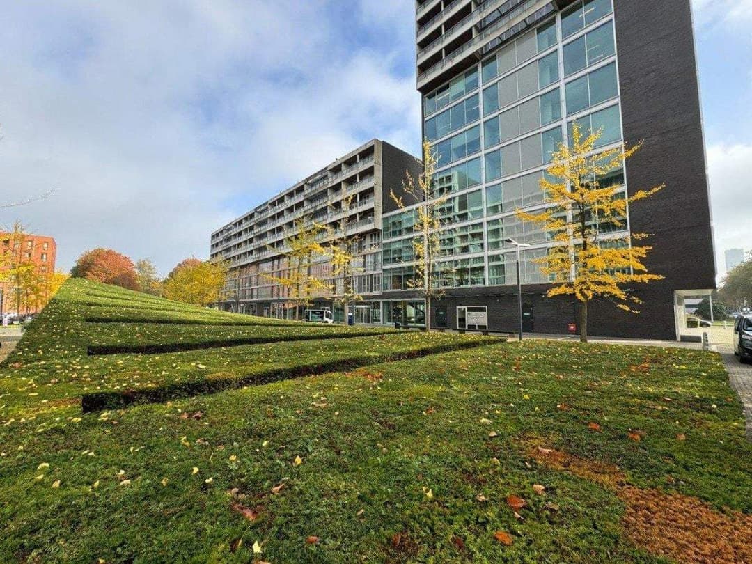 Flat Professor de Moorplein, Tilburg - For Rent