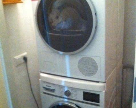 Möbliertes Zimmer Willy Sluiterstraat, Amsterdam - Zu Vermieten