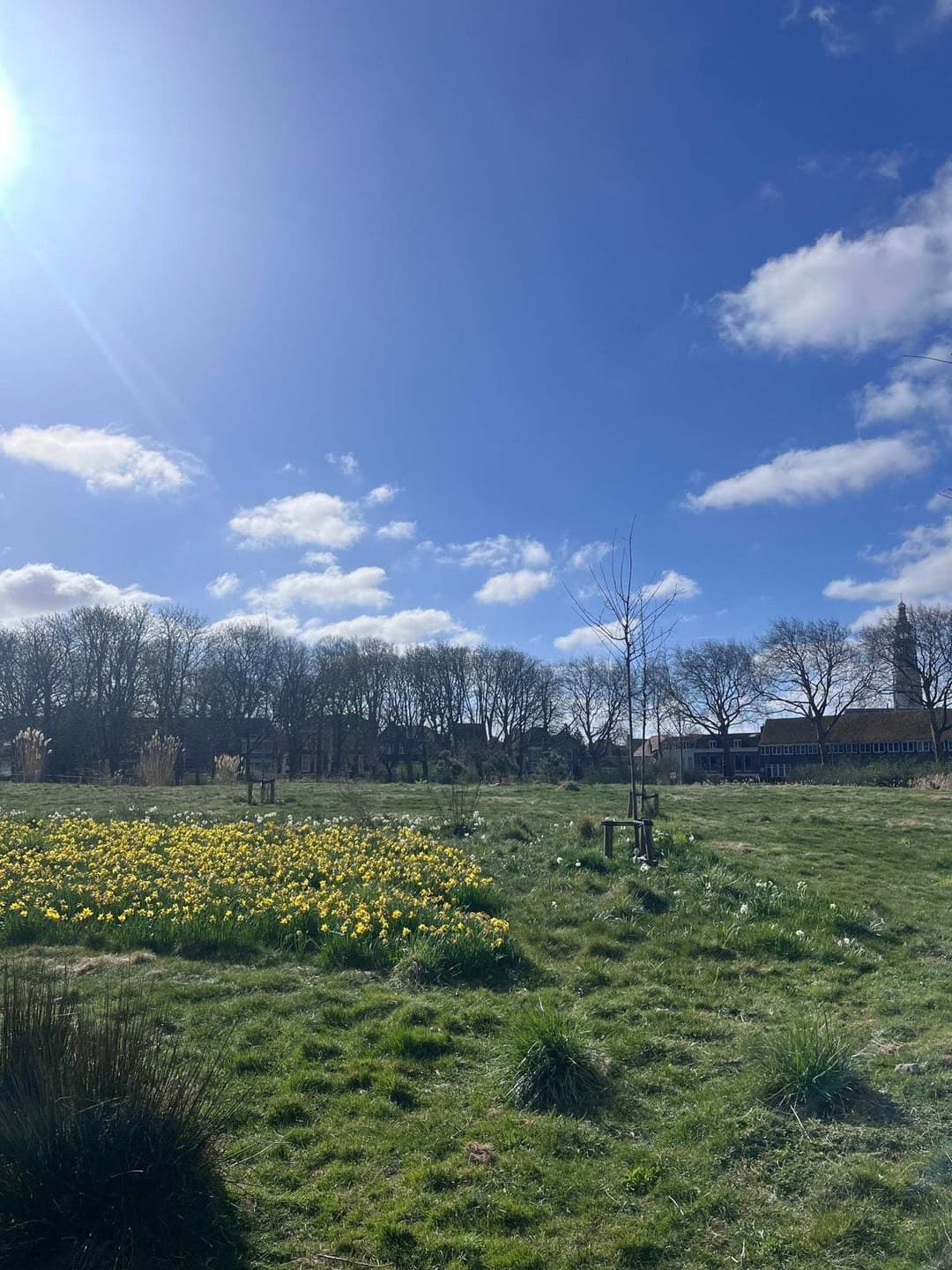 Flat Molenwater, Middelburg - Zur Miete