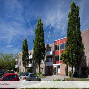 Appartement de 3 pièces au Luifel 42, Hoorn - À louer