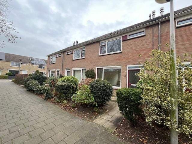 Almondestraat 24, Maasdijk - Zu vermieten