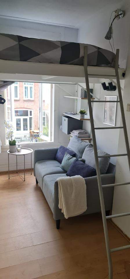 Gemeubileerde kamer Steijnstraat, Utrecht - Te Huur