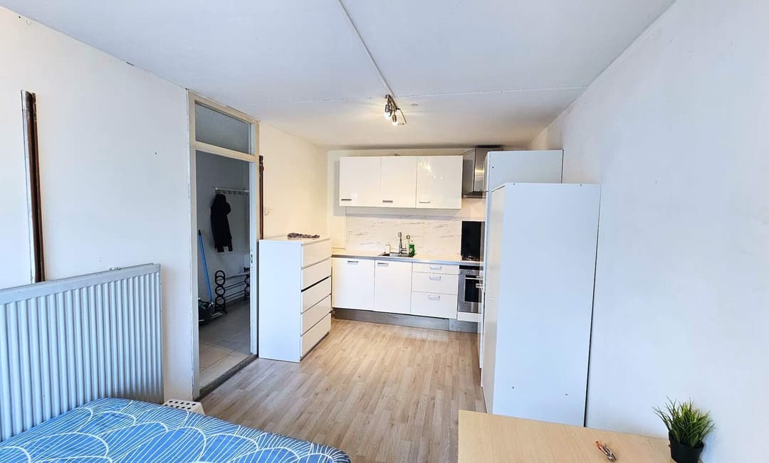 Apartment Paardebloem, Rotterdam - For Rent