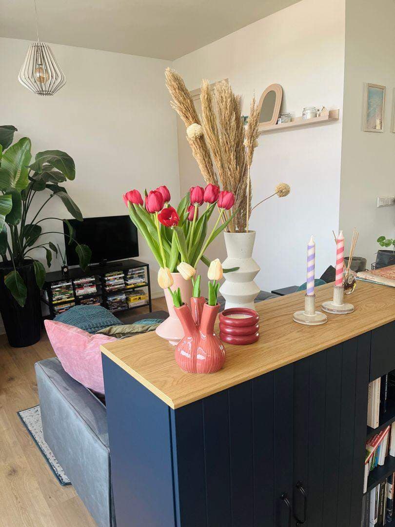 Gemeubileerd Appartement Hoornweg, Rotterdam - Te Huur
