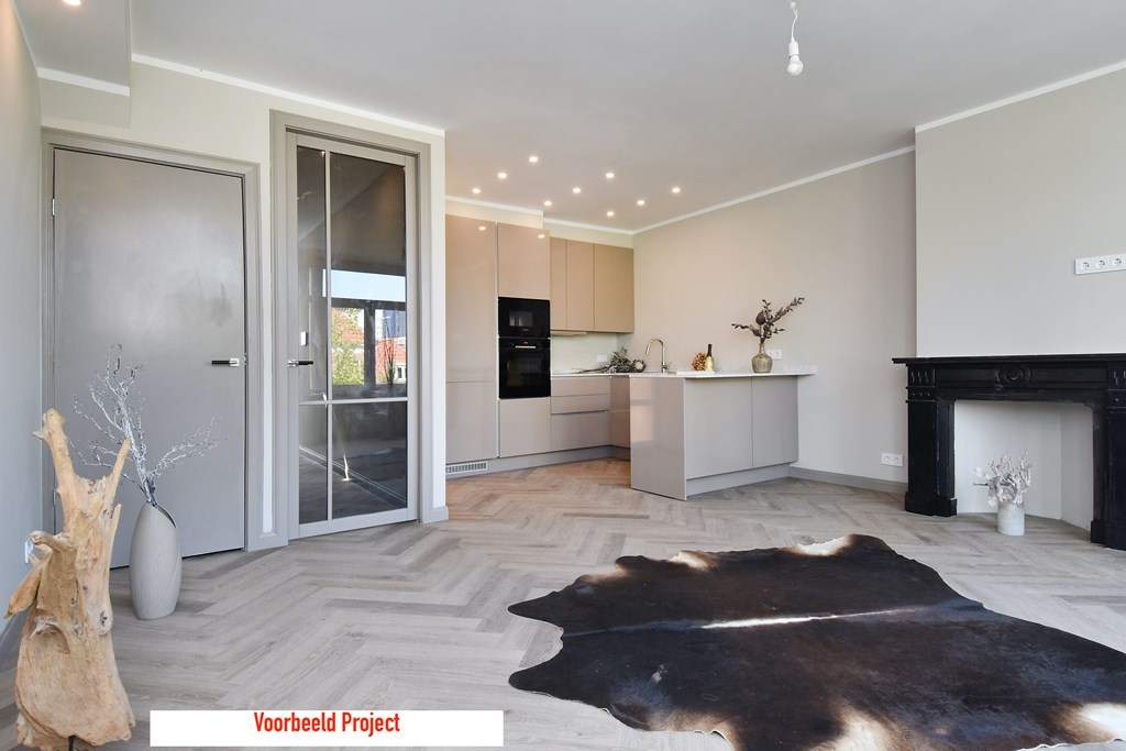 Apartment Paulus Buijsstraat, Den Haag - For Rent