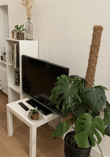 Apartment St. Janstraat, Breda - Zur Miete