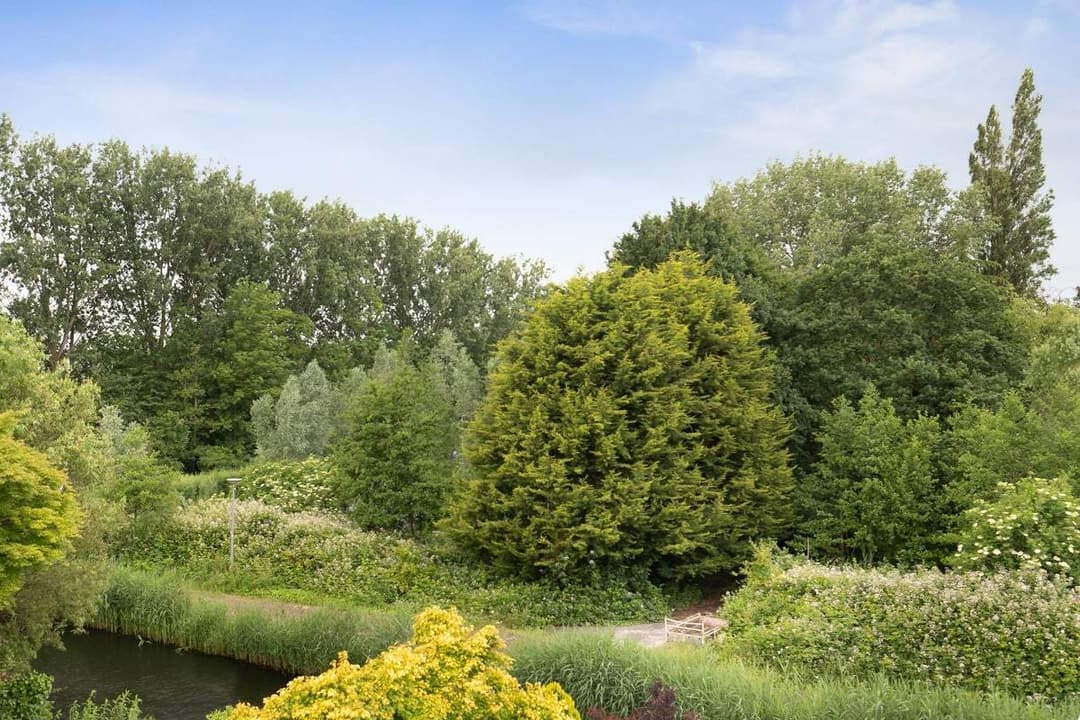 House Amerbachstraat, Rotterdam - For Rent