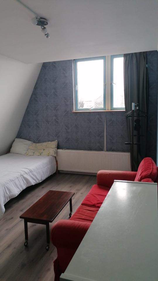 Furnished Room Amstelveenseweg, Amsterdam (Oud-Zuid)