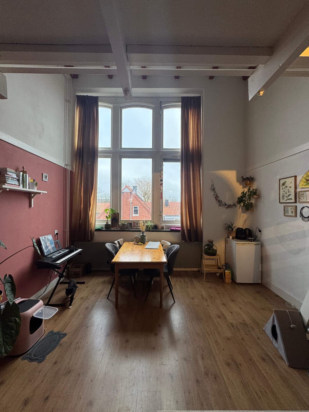 Chambre meublée à Cortinghlaan, Groningen - À Louer