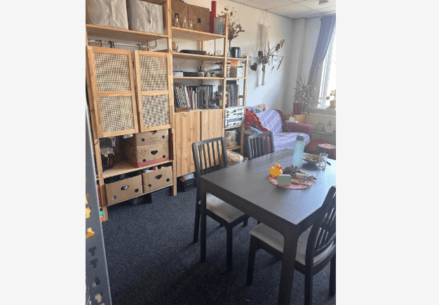 Apartment Wooldriksweg, Enschede - For Rent
