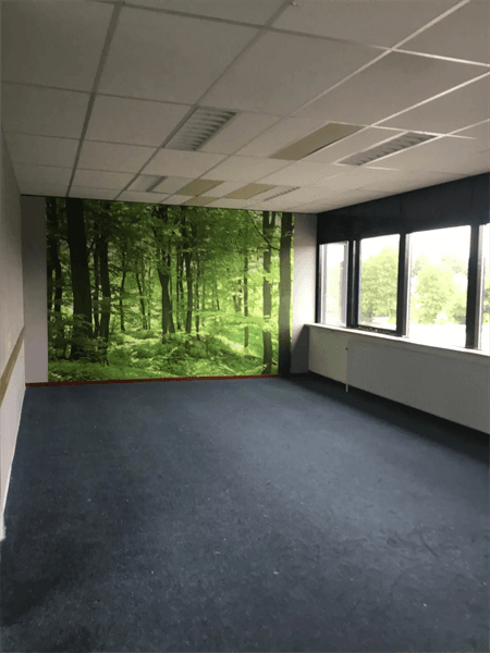 Zimmer De Omloop, Beilen - Zur Miete