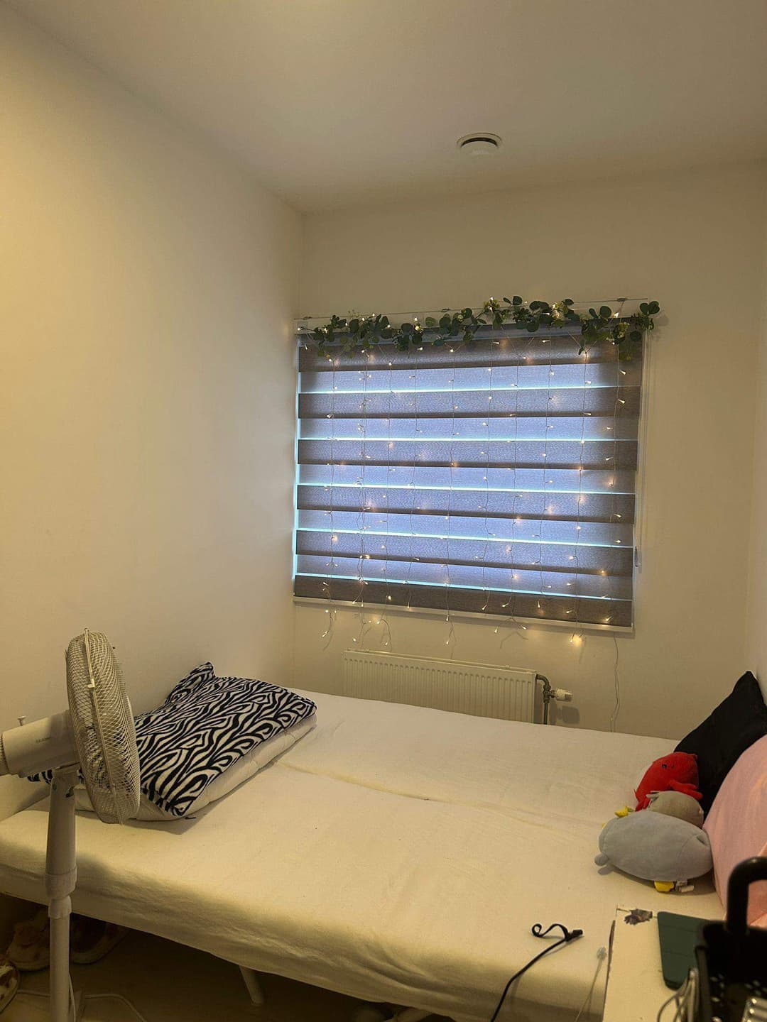 Furnished Room for Rent - Willem Heselaarsstraat, Amsterdam