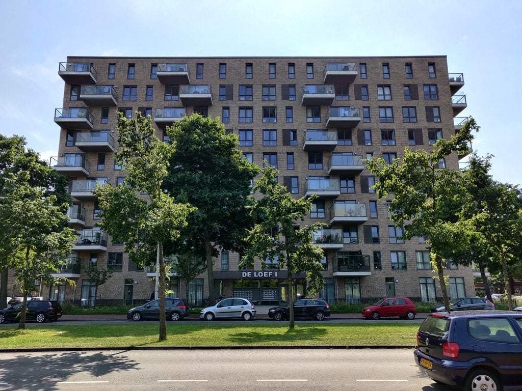Flat Loevesteinlaan, Den Haag - For Rent