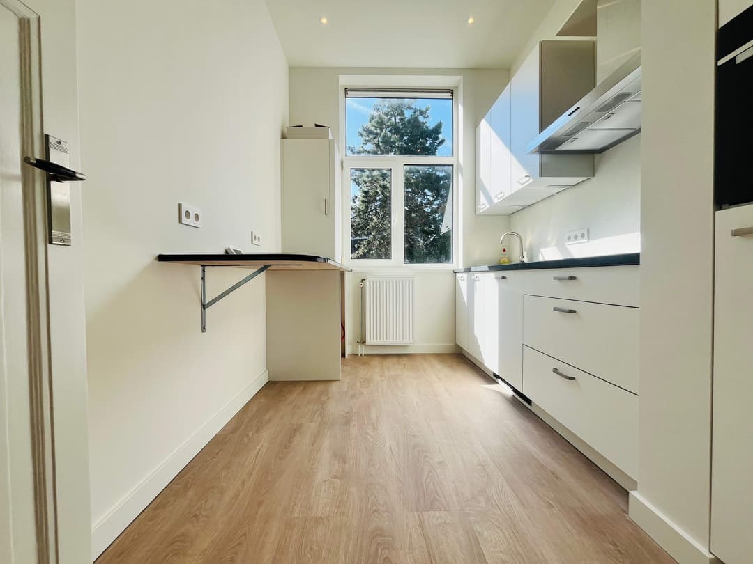 Apartamento Cartesiusstraat, La Haya - En alquiler