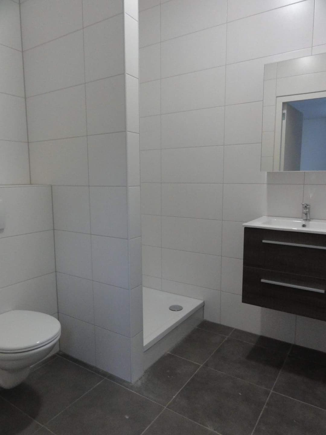 Flat van Tuldenstraat, Den Bosch - For Rent