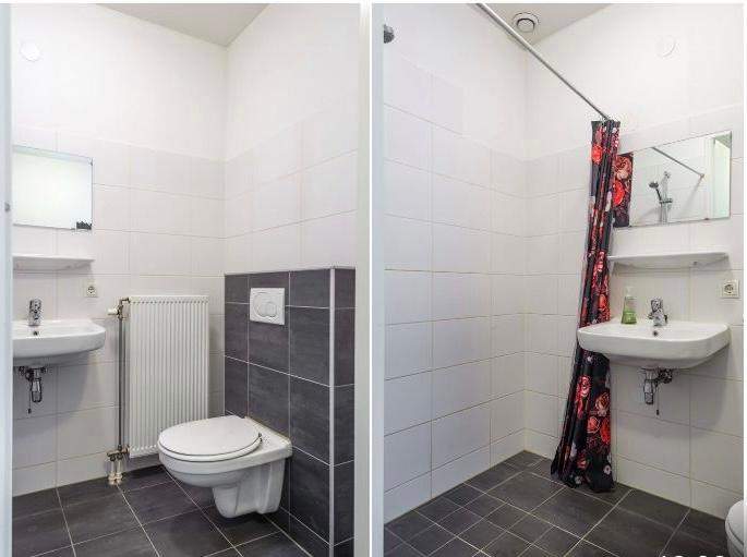 Furnished Apartment Teakhout, Zaandam - For Rent