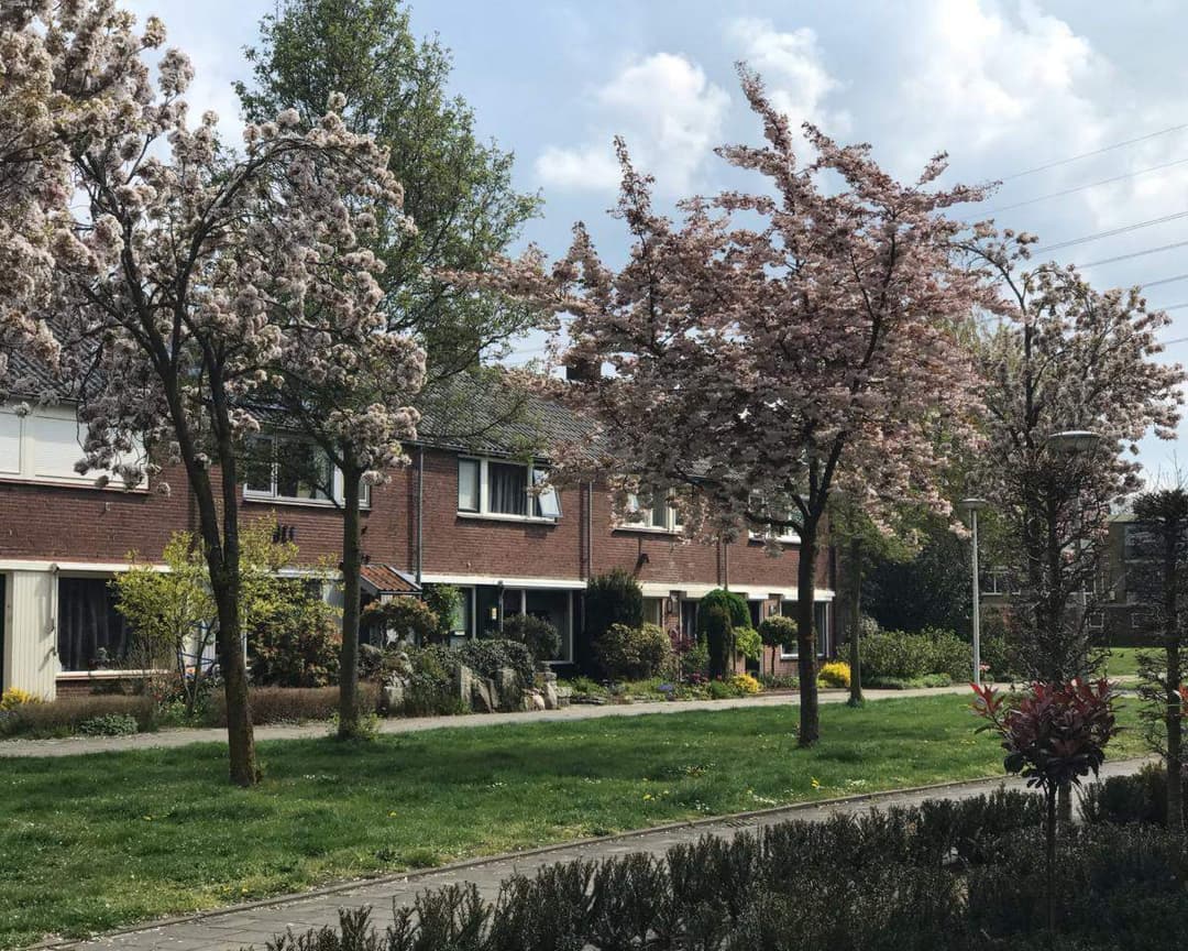 Appartement Meublé Toekomststraat, Enschede - À Louer