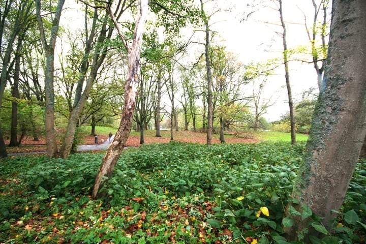 Appartement de 2 pièces à Orteliuskade, Amsterdam - à louer