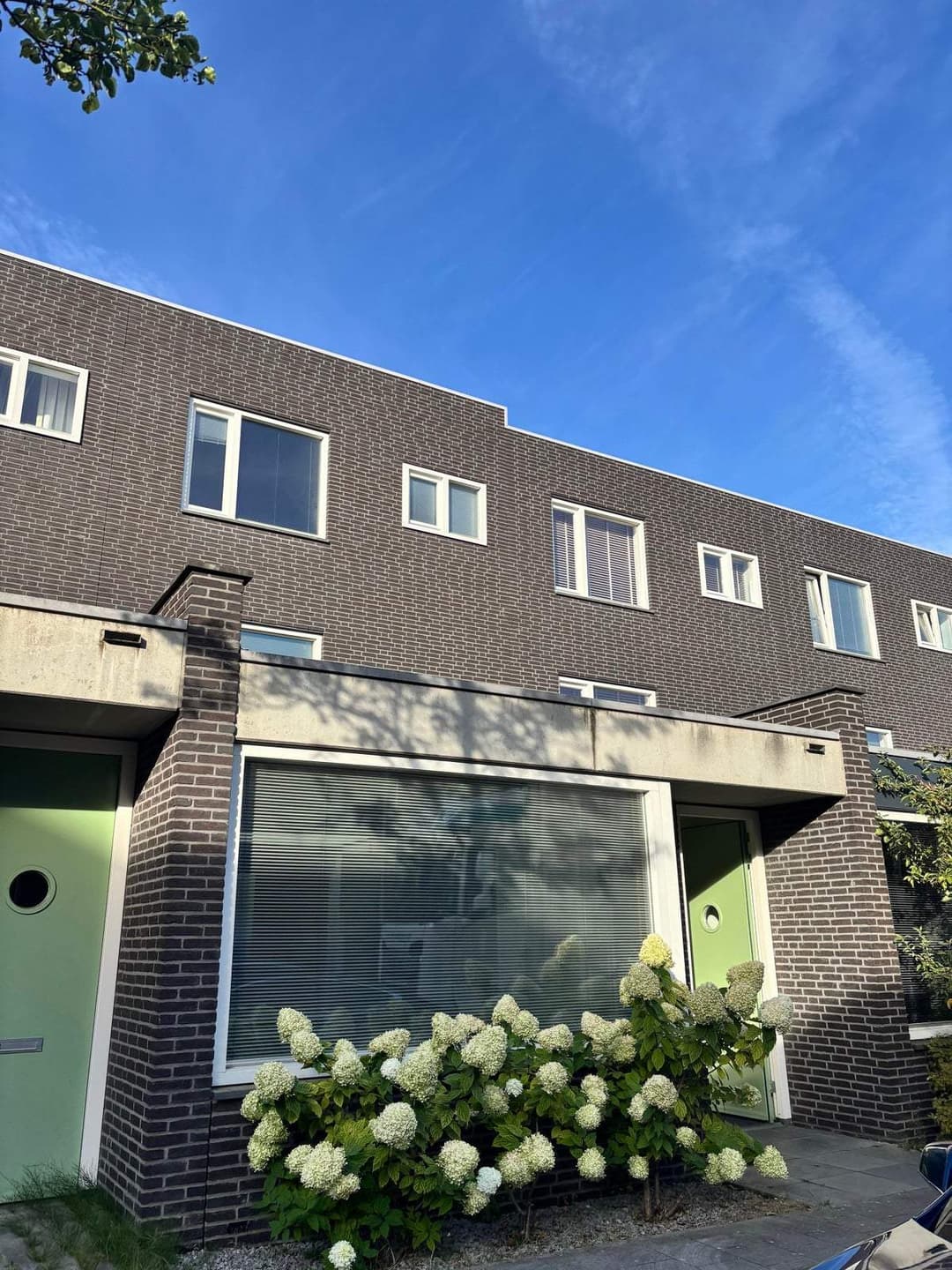Wohnung Dommelhoefstraat 58, Eindhoven - Wohnung im Erdgeschoss