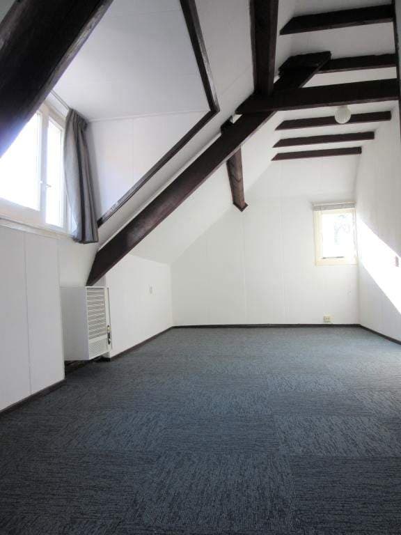 Semi-estudio Verwersstraat, Den Bosch - En alquiler