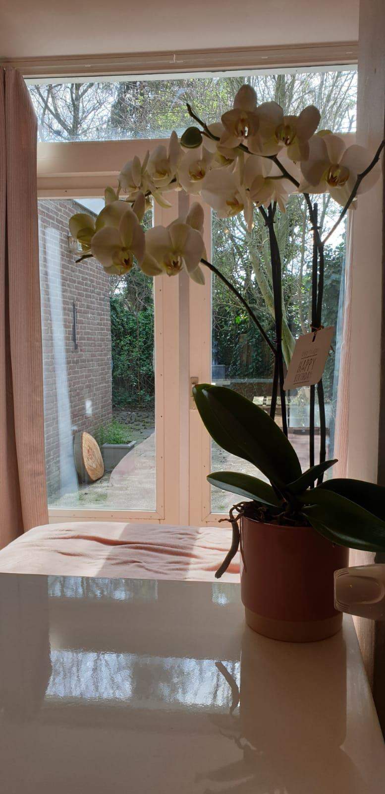 Room Scharnerweg, Maastricht - For Rent