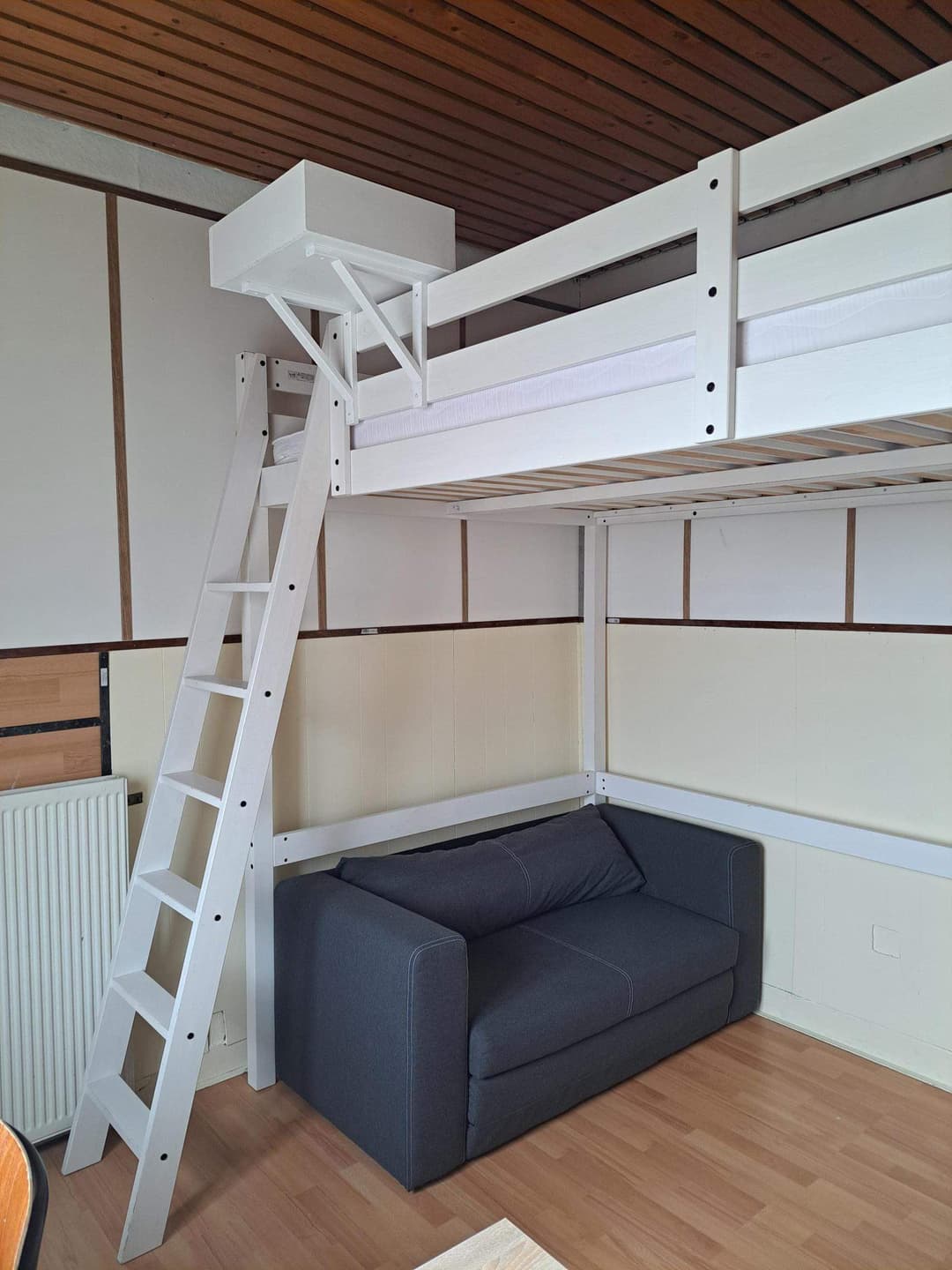 Furnished Room for Rent, Statenlaan, Den Haag