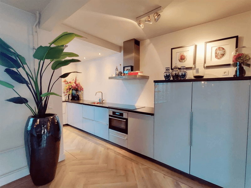 Family House Meidoornstraat, Best - For Rent
