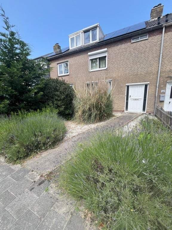 House Spinhuisweg, Middelburg - For Rent