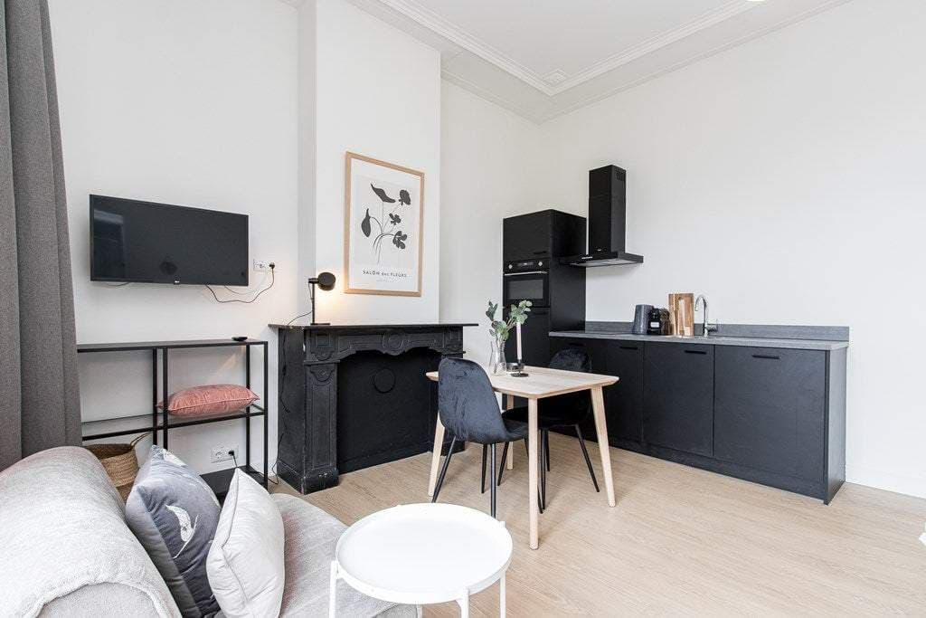 Flat Kronenburgersingel, Nijmegen - For Rent
