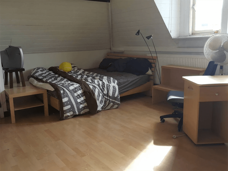 Studio Van Speijkstraat, Den Haag - Te Huur