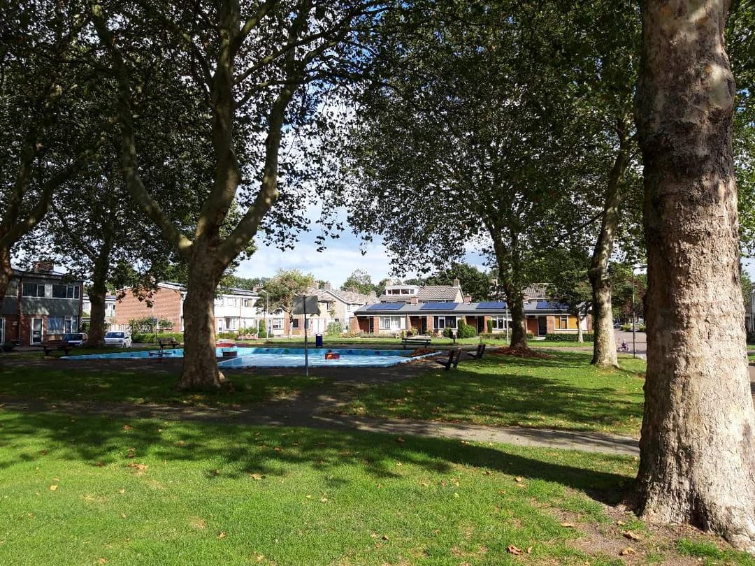 Ericalaan 81, Hoogeveen - Apartment