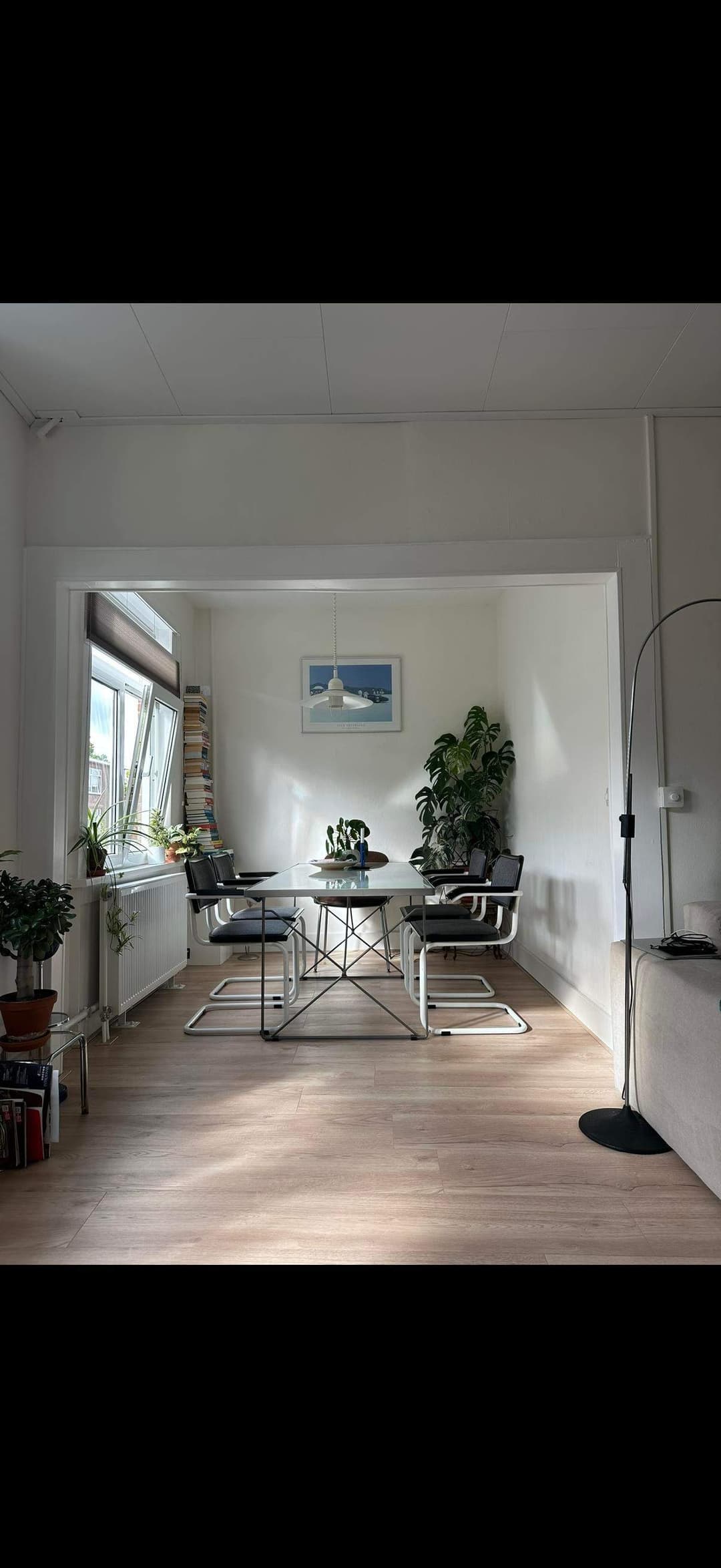 Gemeubileerd appartement Schlegelstraat, Den Haag - Te Huur