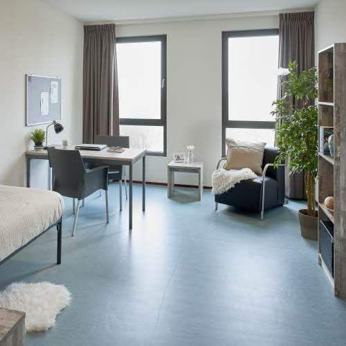 Furnished Studio Cornelis Lelylaan, Amsterdam - For Rent