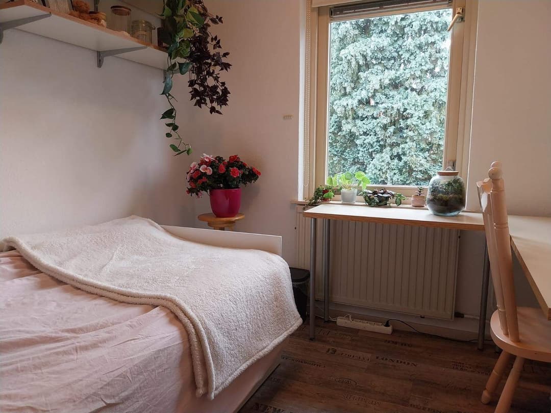 Furnished Room Antiloopstraat, Nijmegen - For Rent