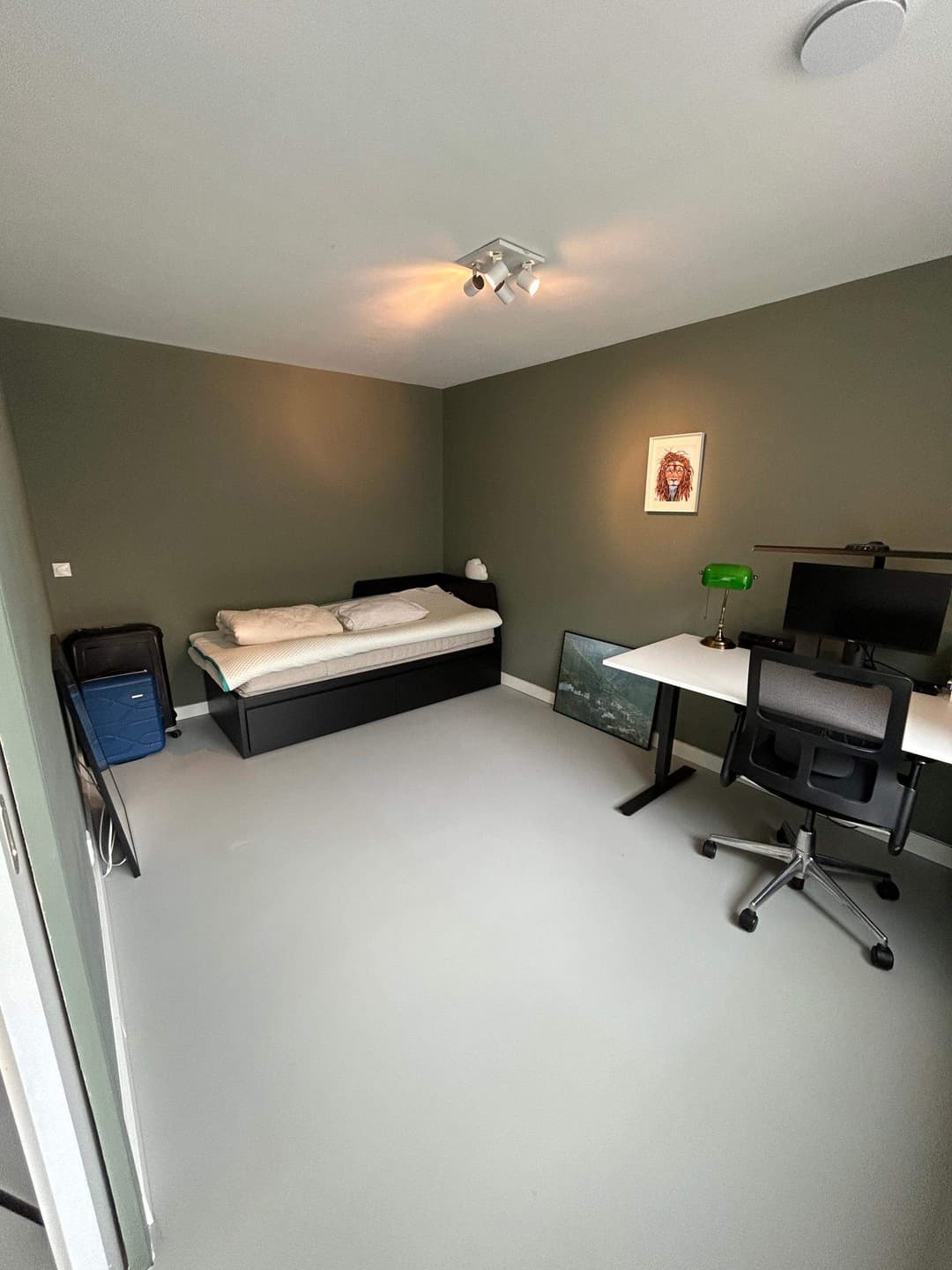 Furnished Room Ammunitiehaven, The Hague - For Rent