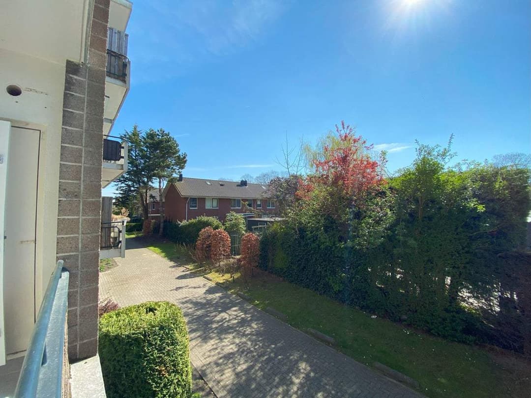 Flat Populierlaan, Rijswijk - For Rent