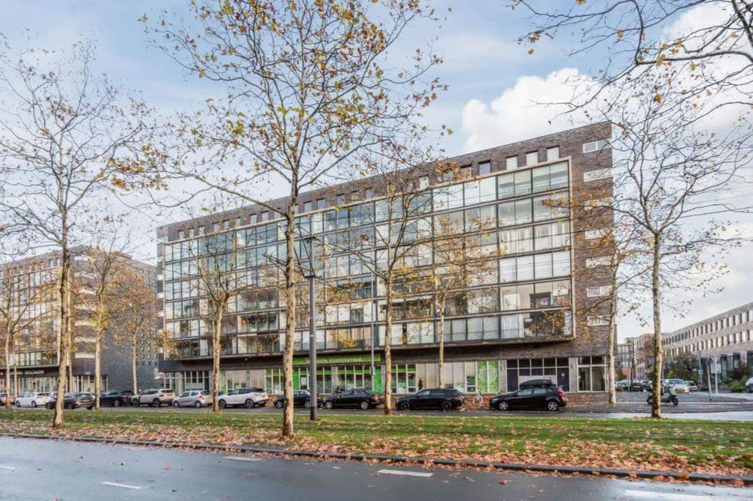 Flat Laan op Zuid, Rotterdam - For Rent