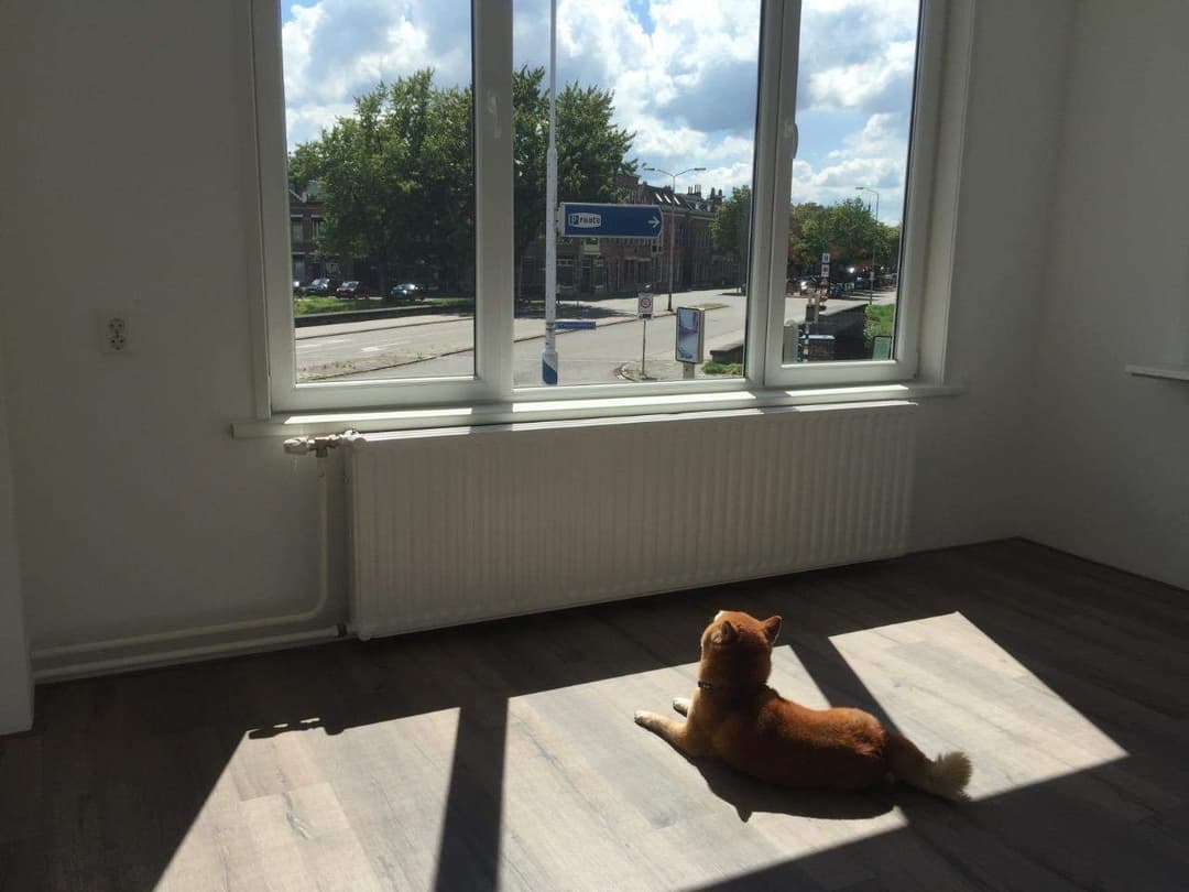 Kamer, Oranjesingel, Breda
