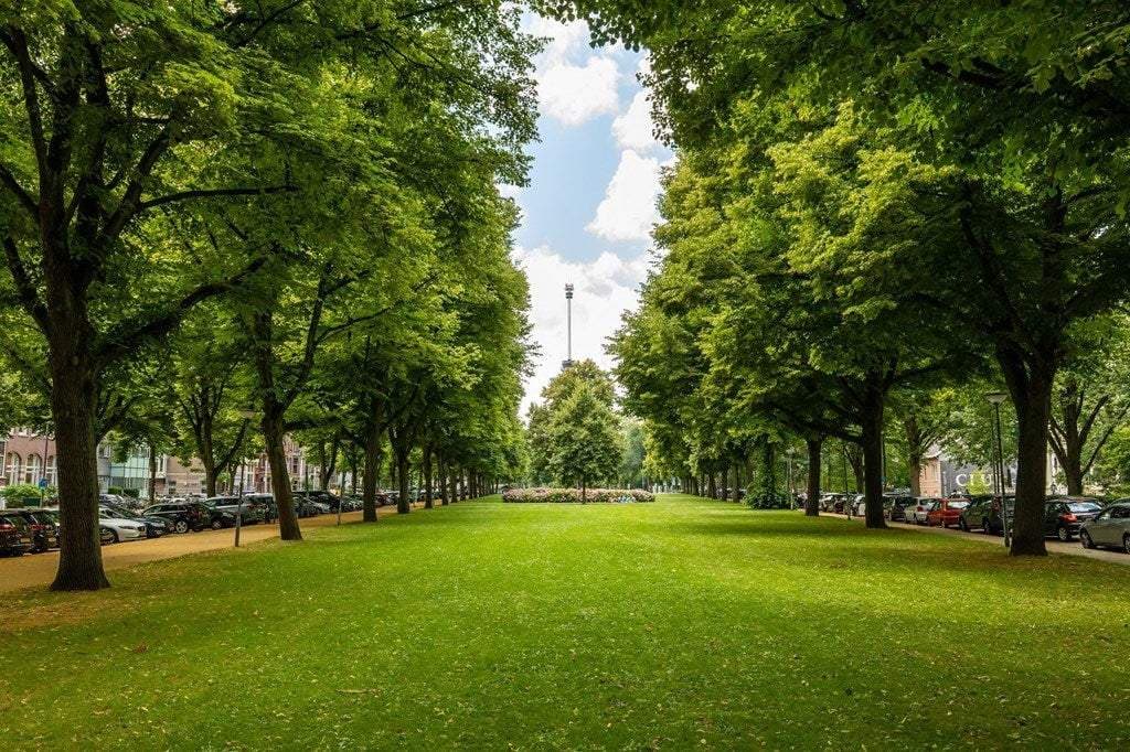 Appartement Vide Van Vollenhovenstraat, Rotterdam - À Louer