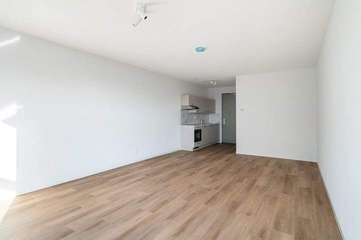 Studio-Wohnung am Lise Meitnerhof, Leiden – Zur Miete