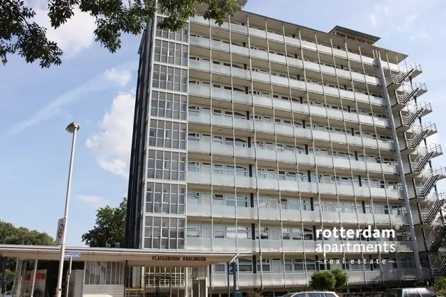 Appartement Kralingse Plaslaan, Kralingen - Court Séjour