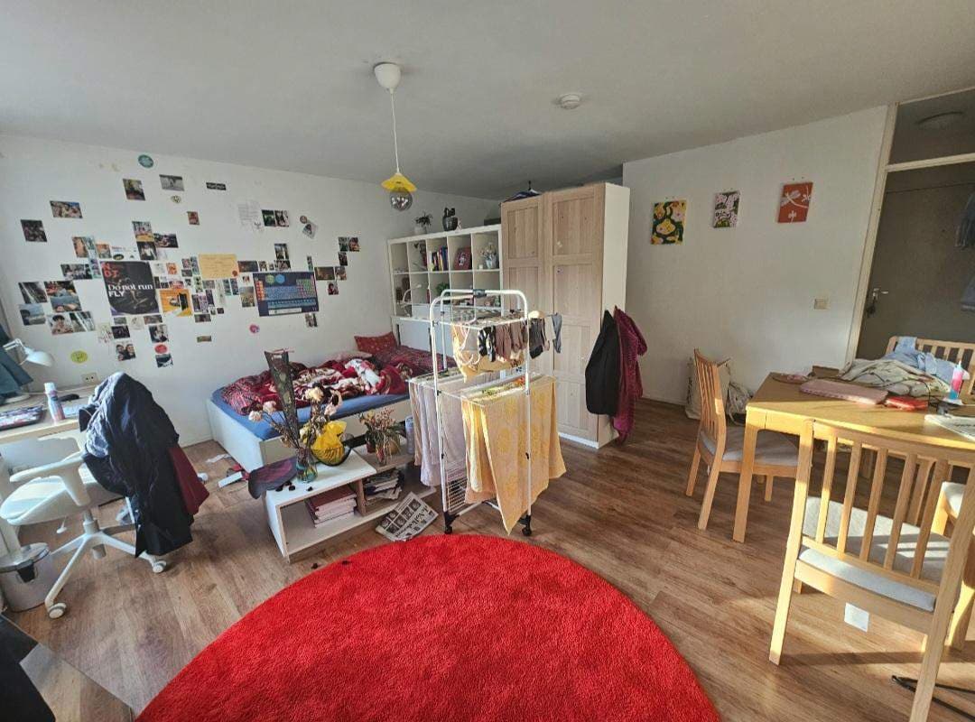 Furnished Studio for Rent - Korvezeestraat, Delft
