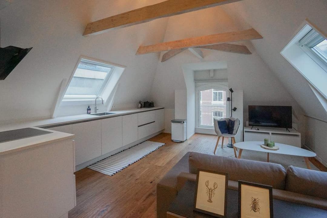 Flat Pieter Cornelisz. Hooftstraat, Amsterdam - For Rent